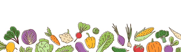 라인 아트 스타일의 다채로운 신선한 유기농 야채 가로 배경. 밝은 건강 채식 음식 벡터 일러스트 레이 션. 잘 익은 야채, 샐러드, 허브는 흰색으로 분리되어 있습니다.