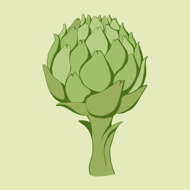 Colorful green artichoke Vector minimalistic illustration