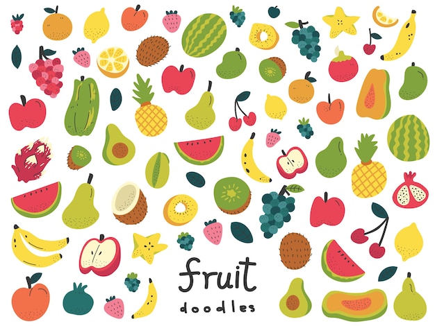 Vector colorful hand drawn doodle fruits illustration