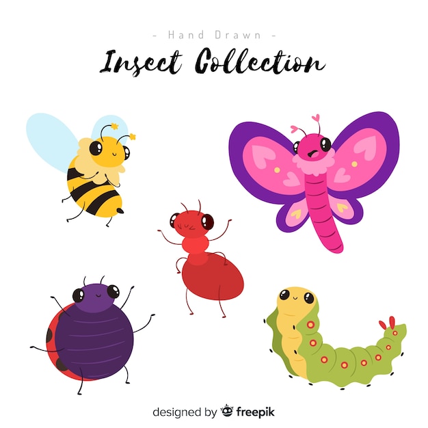 Vector colorful hand drawn insect collection