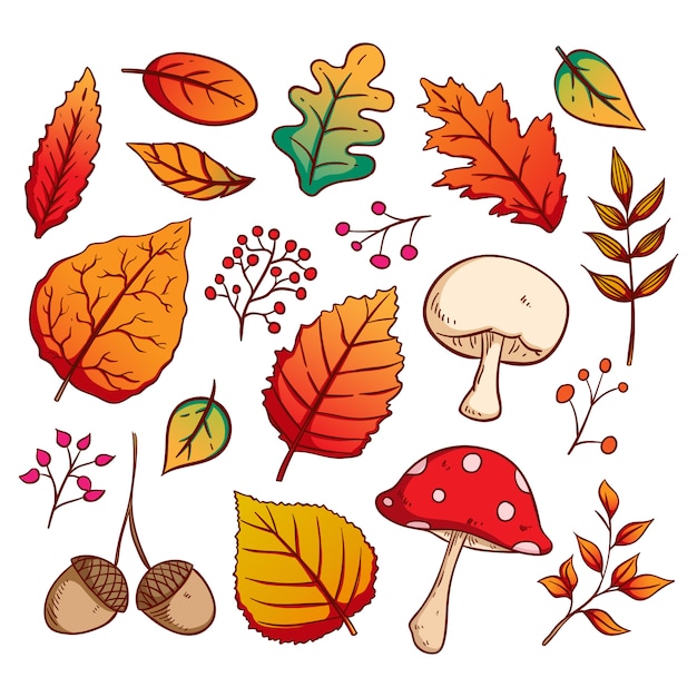 Stile disegnato a mano variopinto delle foglie di autunno su fondo bianco