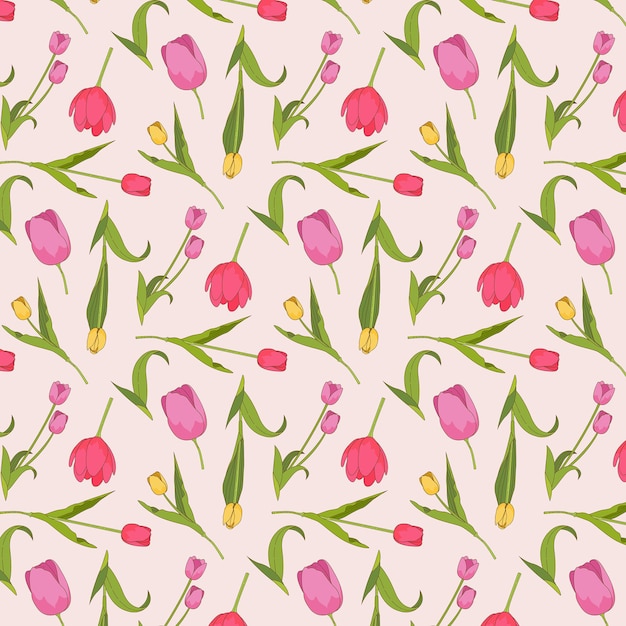 Motivo floreale di tulipani colorati disegnati a mano su sfondo rosa