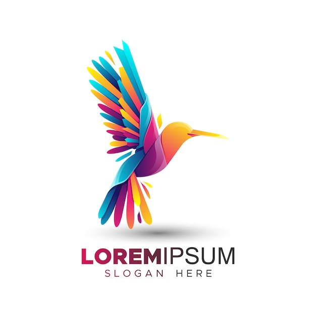 Colorful hummingbird logo template