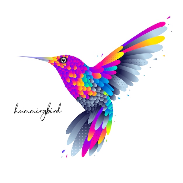 Colorful hummingbird