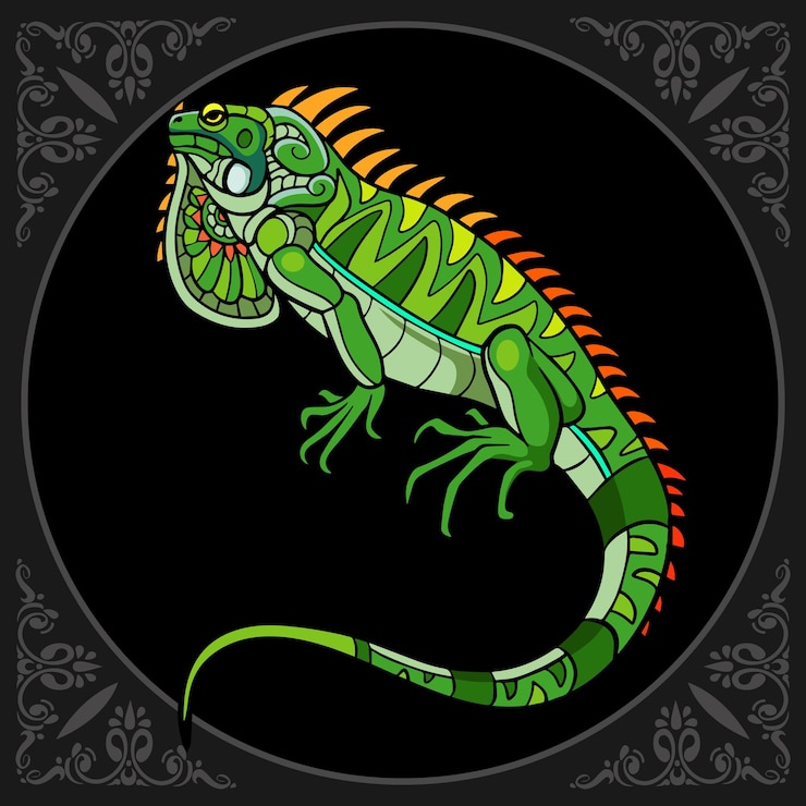 Vector colorful iguana zentangle arts isolated on black background