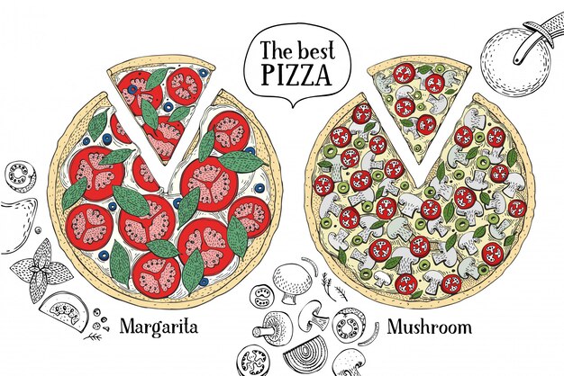 Vettore illustrazione colorata di pizza italiana.