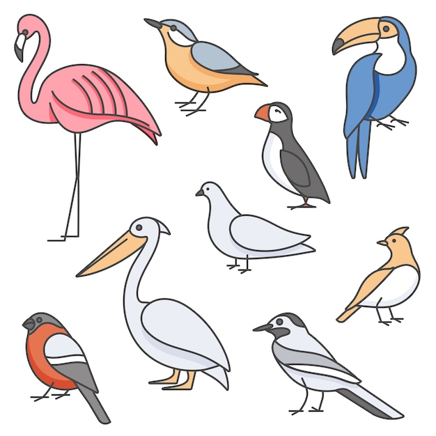 красочные иллюстрации набор птиц - голубь, поползень, фламинго, тукан и другие в модном линейном стиле. Изолированные на белом.