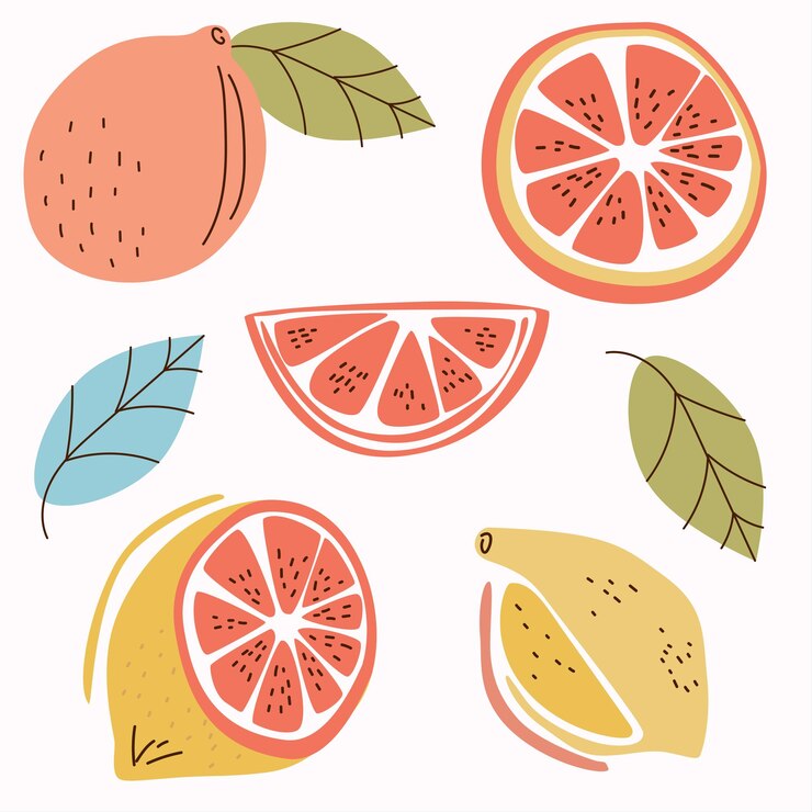 Colorful illustrations of citrus fruits including oranges lemons and grapefruit with green leaves