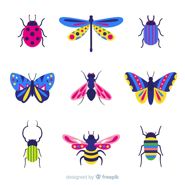 Vector colorful insect collection