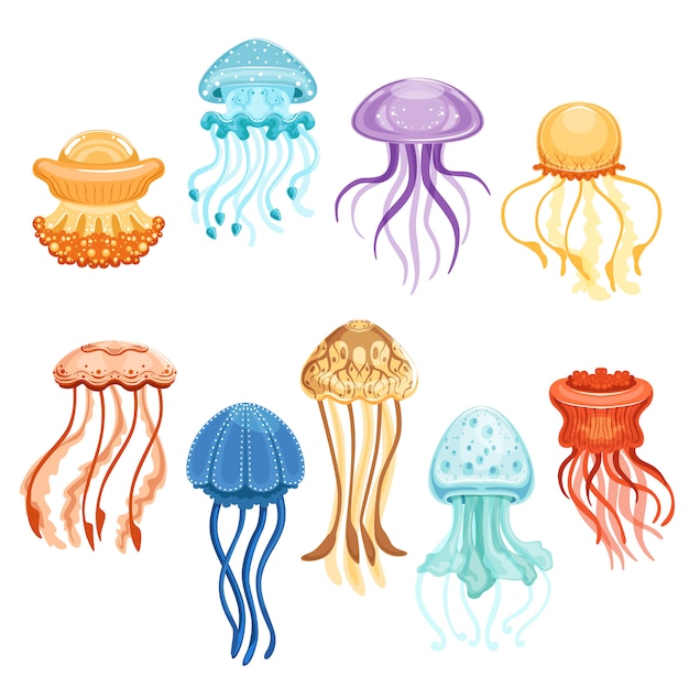 カラフルなクラゲセット 白い背景の上の海の生き物水彩イラストを水泳 プレミアムベクター