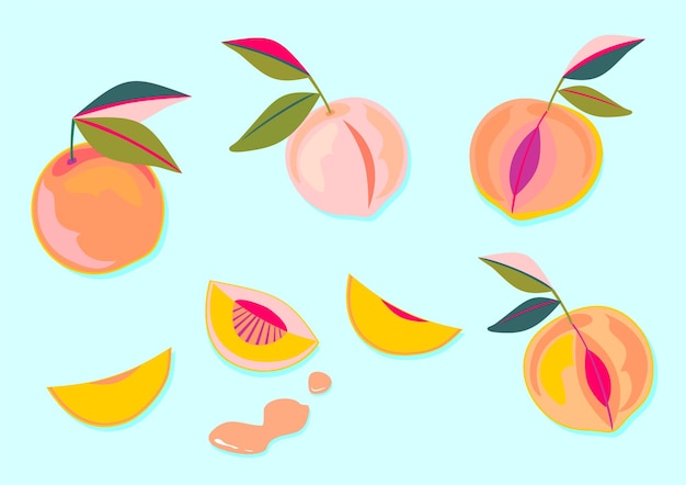 Colorful juicy peaches with leaves