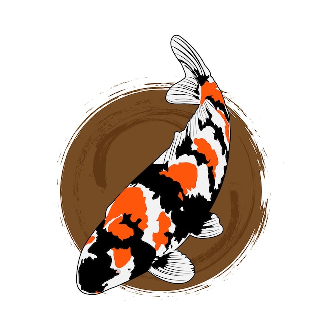 Vector colorful koi fish