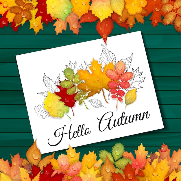 Colorful leaves on wooden background vector