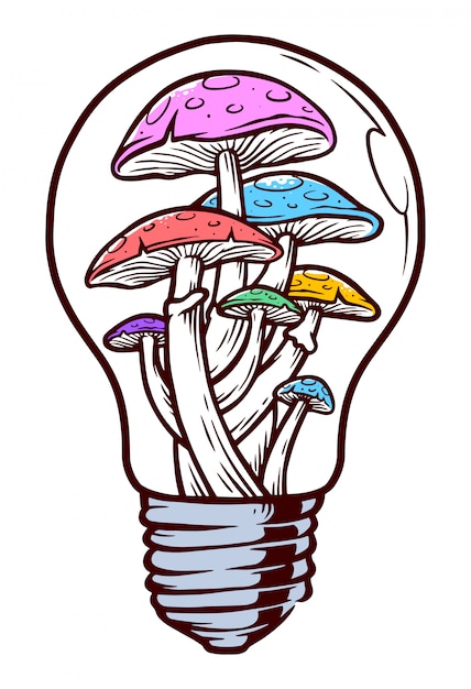 Colorful light mushroom illustration