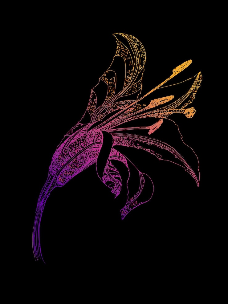 Vector colorful lily hand drawn on black floral natural design graphic sketch for texture pattern