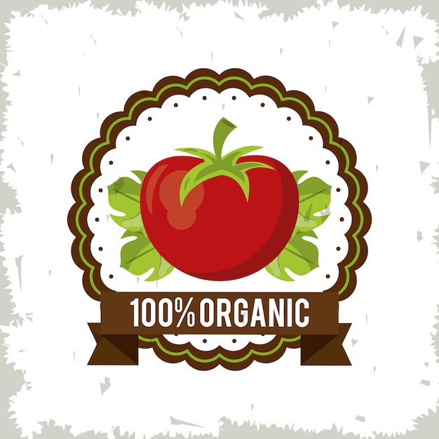 Colorful logo of organic food with tomato