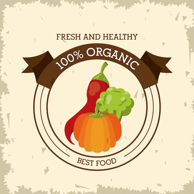 Colorful logo with chilli and broccoli and pumpkin