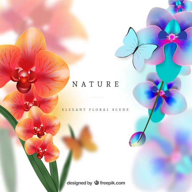 Colorful orchids