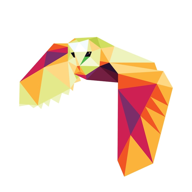 Vector a colorful owl bird abstract colorful owl polygonal vector