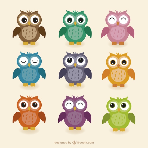 Colorful owls collection