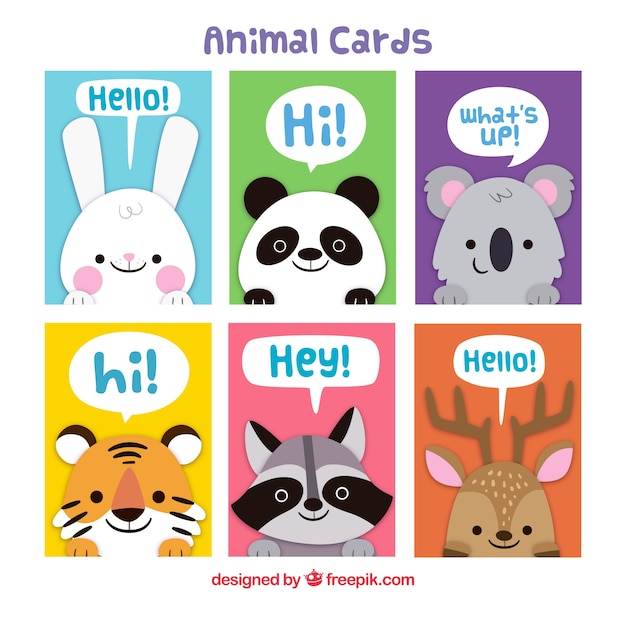 Красочная пачка карт с прекрасными животными