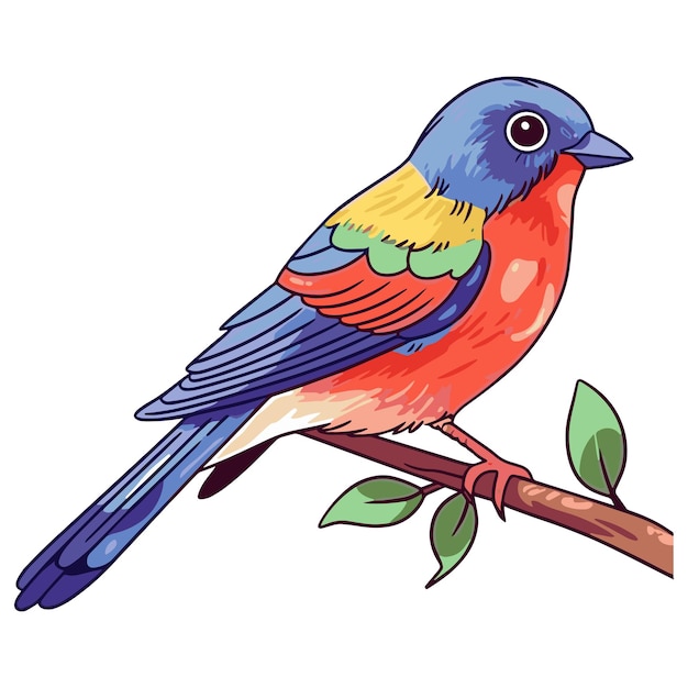 The colorful painted bunting vector art A saplash of nature's best hues