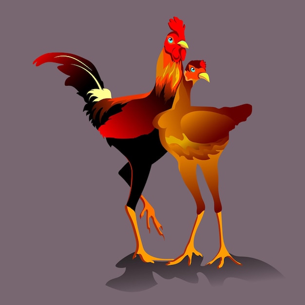 Vector colorful pair of rooster and chicken