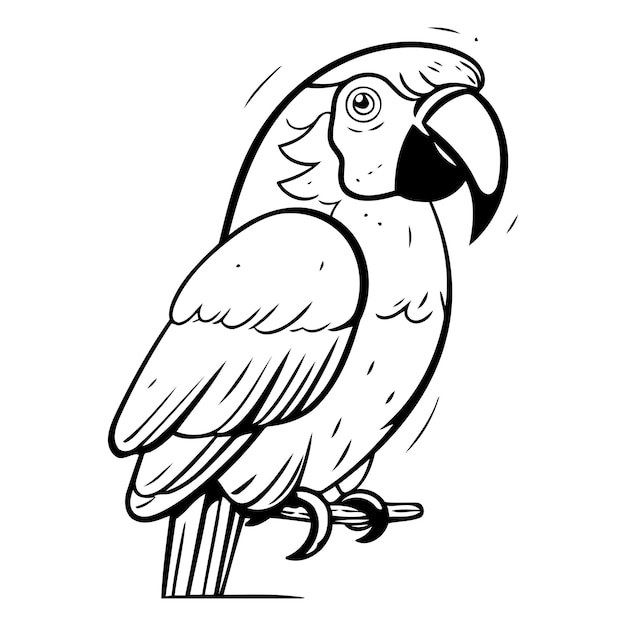 Вектор Красочный попугай на белом фоне векторная иллюстрация в стиле мультфильма