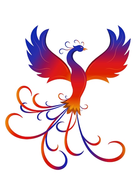 Colorful phoenix bird vector illustration on white background