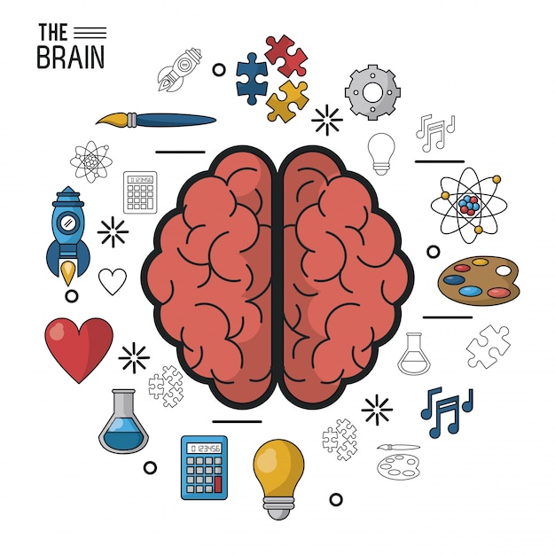 Colorful poster the brain in top view of its two hemispheres