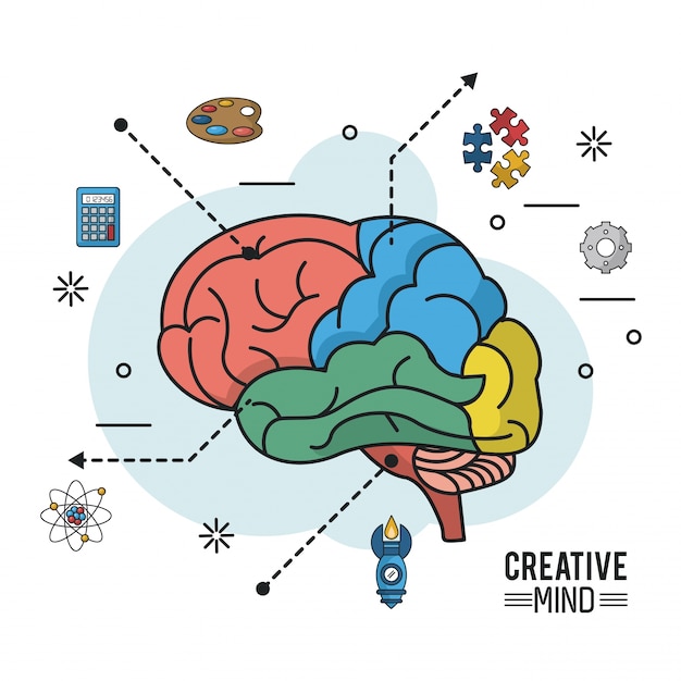 Vector colorful poster of creative mind with different parts of brain