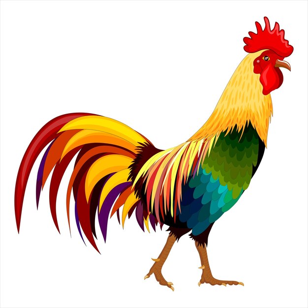 Colorful Rooster Vector
