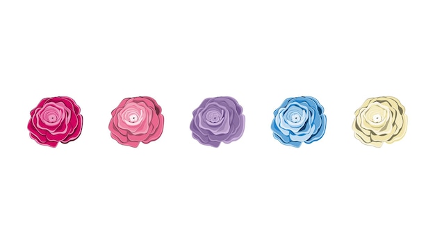 Colorful rose flower isolated on white background. Vector illustration