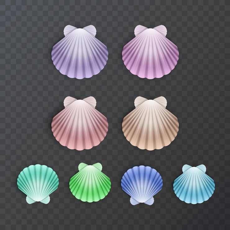 Vector colorful sea shells silhouettes set on dark background. vector illustration