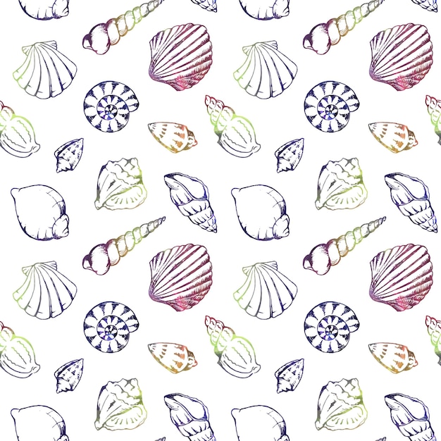 Colorful sea shells vector seamless pattern texture background