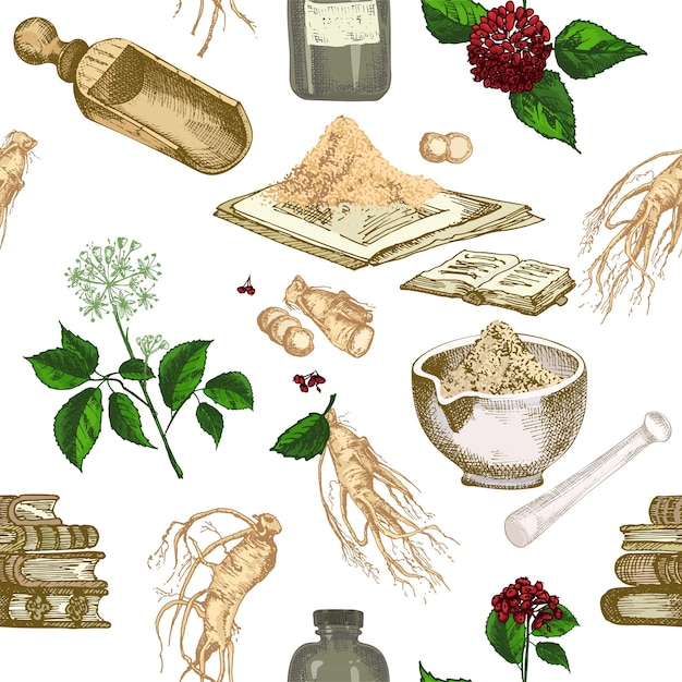 Vettore colorato motivo senza giunture disegnato a mano di radici di ginseng vite e fiori design grafico vintage retrò disegno botanico stile di incisione