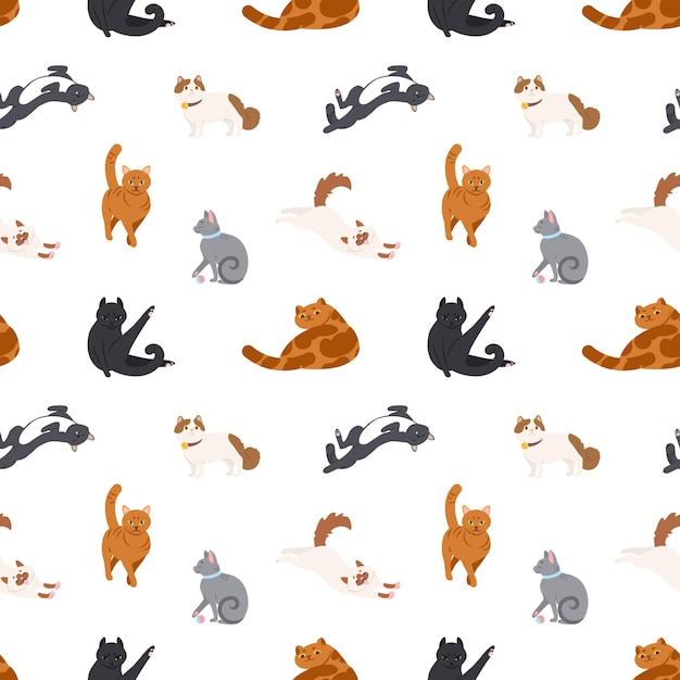 Colorful seamless pattern with cats of different breeds sleeping, walking, washing, stretching itself on white background