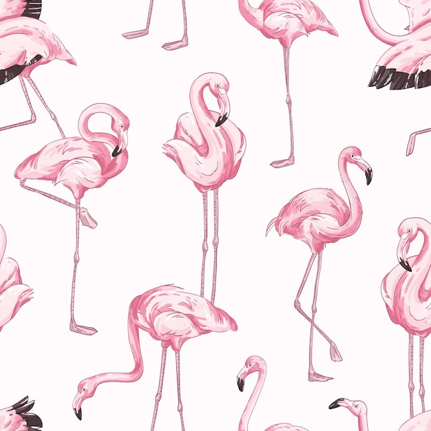 Colorful seamless pattern with pink flamingo. hand drawn realistic background with tropical birds standing in different postures. trendy vector backdrop with exotic wild animals.