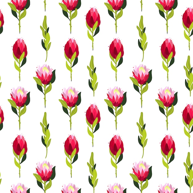  colorful seamless pattern with protea flowers.