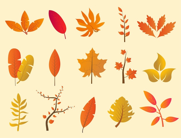 Colorful set of Autumn Leaves Isolated on White Background Vector