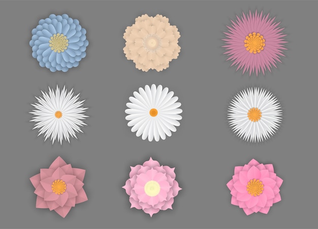 Colorful set of flowers on paper art isolated