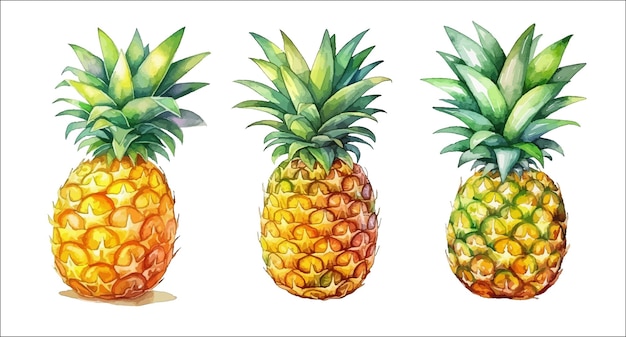 Colorful set of pineapple in watercolor style isolated on white background Watercolor pineapple