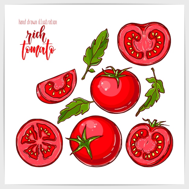 Vector colorful set of ripe and tasty tomato