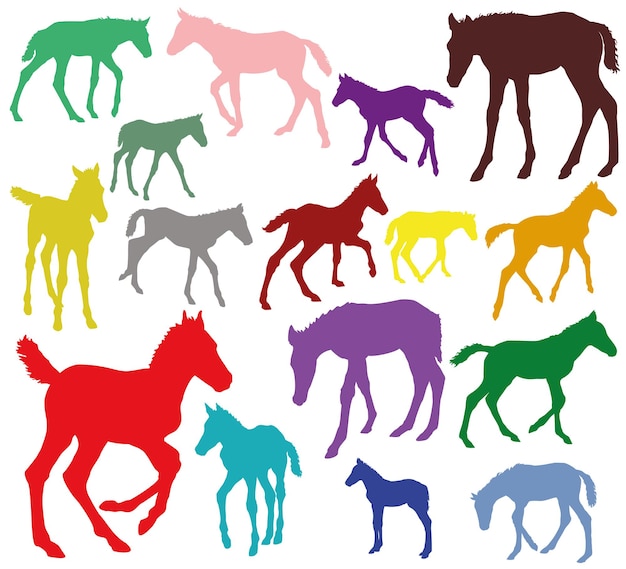 Colorful set of silhouettes of foals