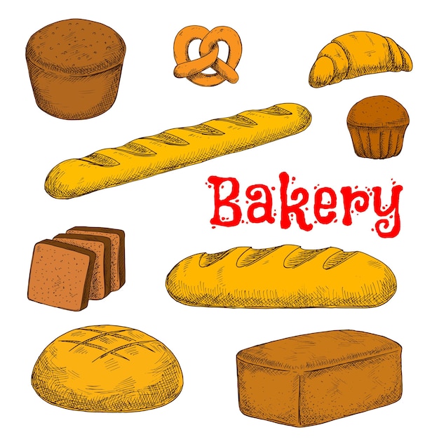 Colorful sketched bakery and pastry products