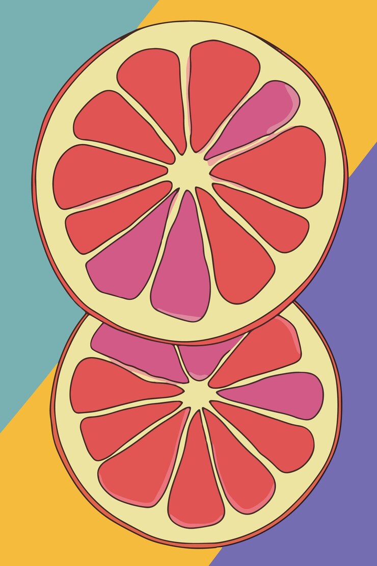 Vector colorful sliced citrus fruits illustration