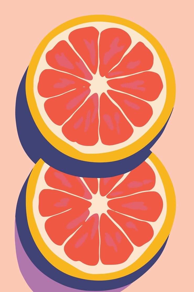Vector colorful sliced citrus fruits illustration