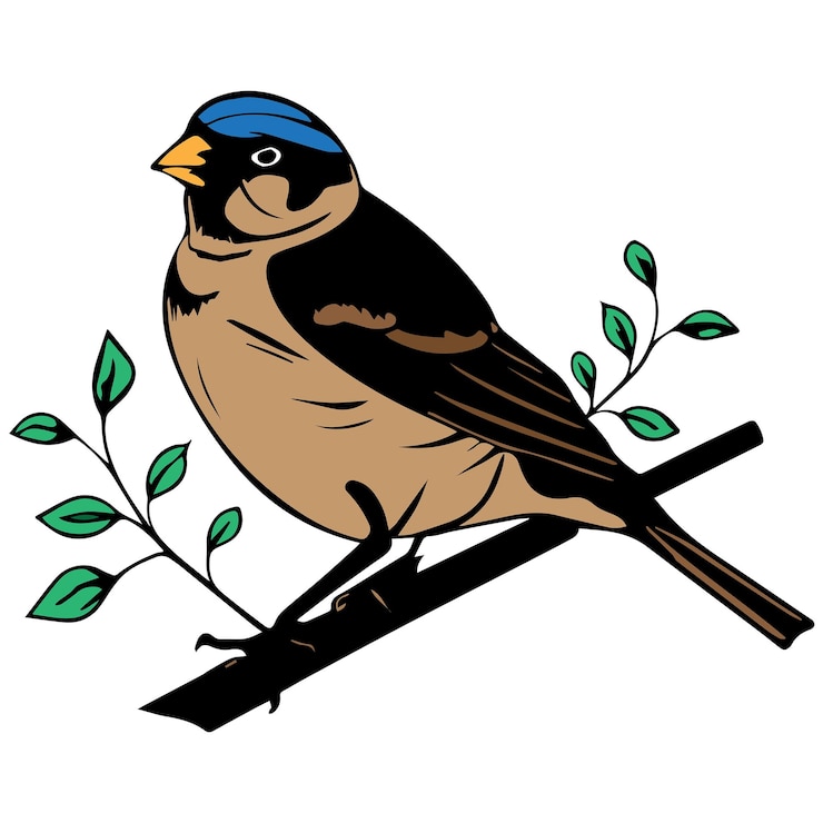 Vector colorful sparrow vector-bestand