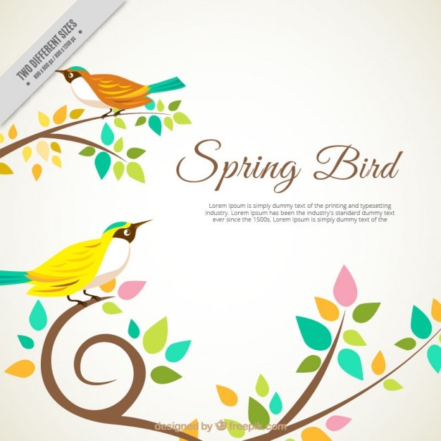 Vector colorful spring bird background