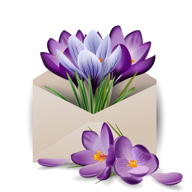 Vector colorful spring flowers crocuses in the envelope concept spring background the template vector